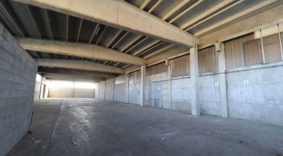 Warehouse of 1,000 m² in Rivarolo Canavese (10086)