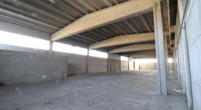 Capannone di 1.000 m² in Rivarolo Canavese (10086)
