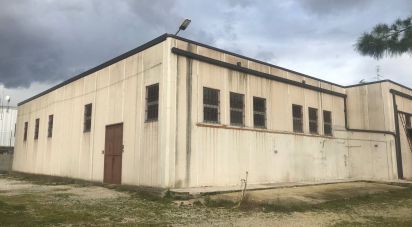 Capannone di 672 m² in Santa Maria Nuova (60030)