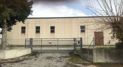 Capannone di 672 m² in Santa Maria Nuova (60030)