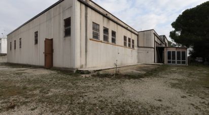 Capannone di 672 m² in Santa Maria Nuova (60030)