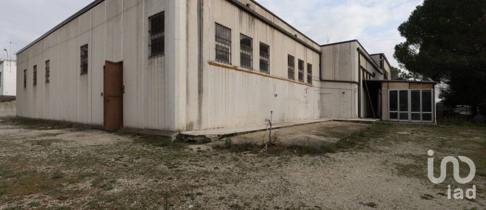 Warehouse of 672 m² in Santa Maria Nuova (60030)