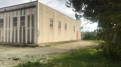 Capannone di 672 m² in Santa Maria Nuova (60030)