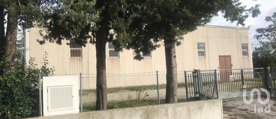 Warehouse of 672 m² in Santa Maria Nuova (60030)