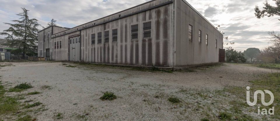 Warehouse of 672 m² in Santa Maria Nuova (60030)