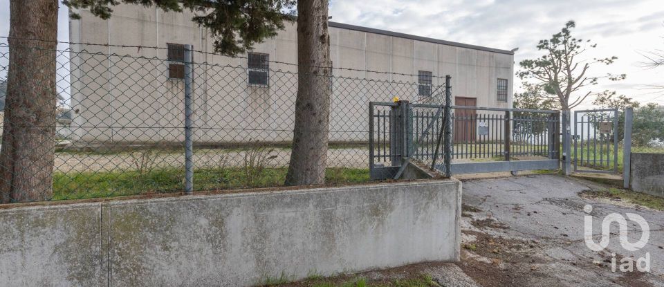 Warehouse of 672 m² in Santa Maria Nuova (60030)