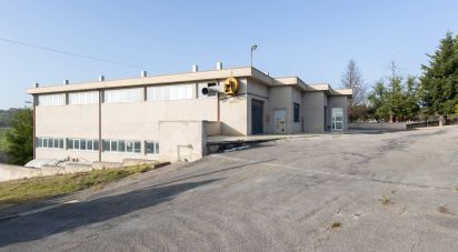 Capannone di 981 m² in Montefano (62010)