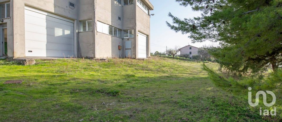 Capannone di 981 m² in Montefano (62010)