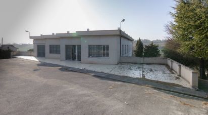 Capannone di 981 m² in Montefano (62010)