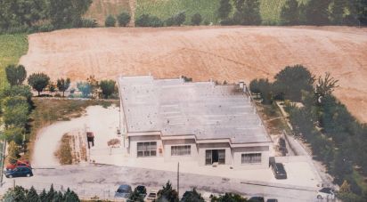 warehouse of 981 sq m in Montefano (62010)
