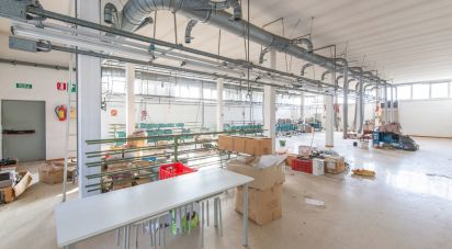 warehouse of 981 sq m in Montefano (62010)