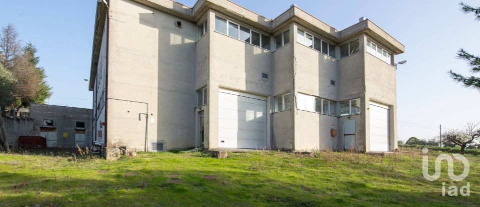 Warehouse of 981 m² in Montefano (62010)