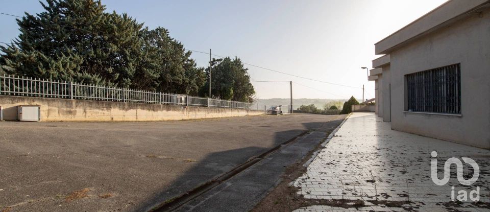 Warehouse of 981 m² in Montefano (62010)