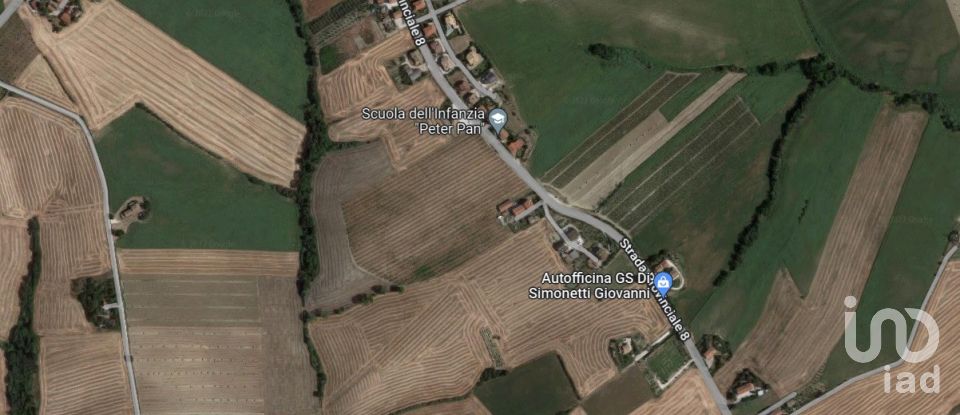 Terreno di 8.000 m² in Filottrano (60024)