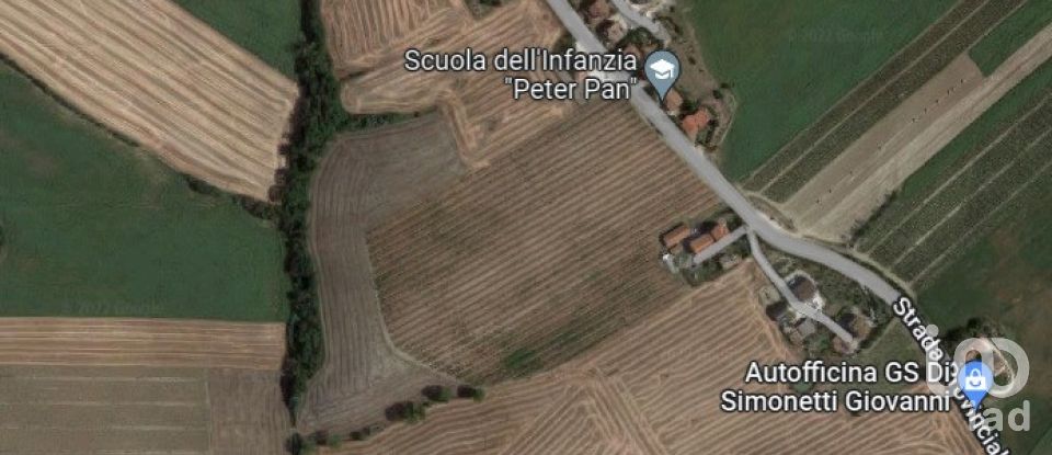 Terreno di 8.000 m² in Filottrano (60024)