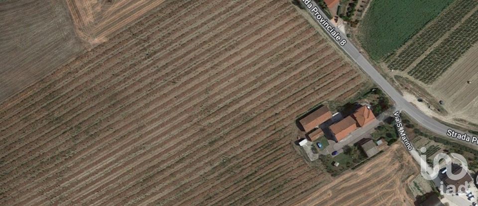 Terreno di 8.000 m² in Filottrano (60024)