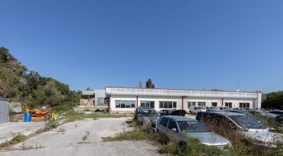 Warehouse of 500 m² in Santa Maria Nuova (60030)