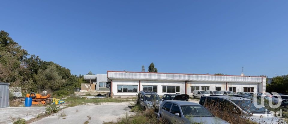 Warehouse of 500 m² in Santa Maria Nuova (60030)