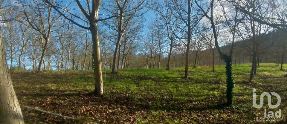 Proprietà terriera 6 locali di 110 m² in Città Sant'Angelo (65013)