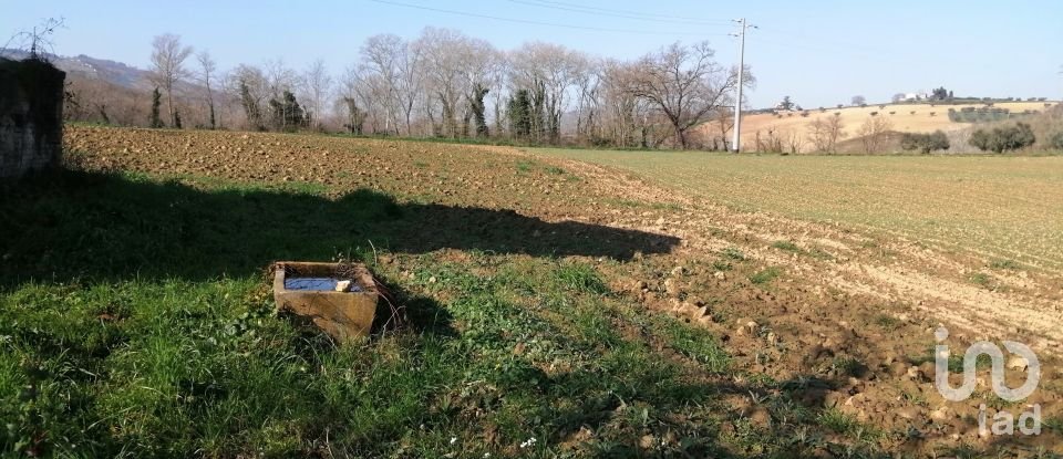 Proprietà terriera 6 locali di 110 m² in Città Sant'Angelo (65013)