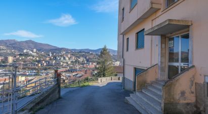 Appartamento 5 locali di 62 m² a Genova (16161)