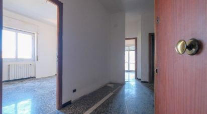 Appartamento 5 locali di 62 m² a Genova (16161)