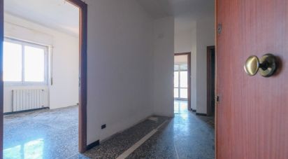 Apartment 5 rooms of 62 sq m in Genova (16161)