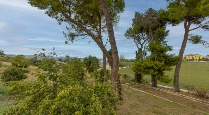 House 7 rooms of 346 m² in Osimo (60027)
