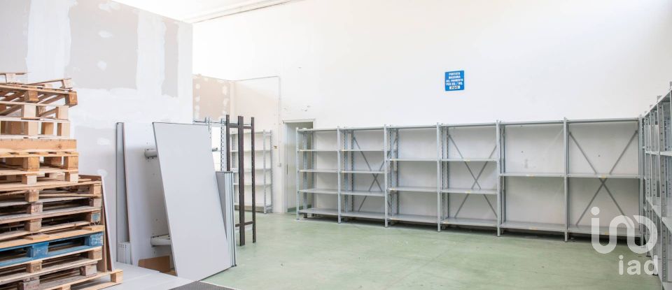 Capannone di 430 m² in Ancona (60131)