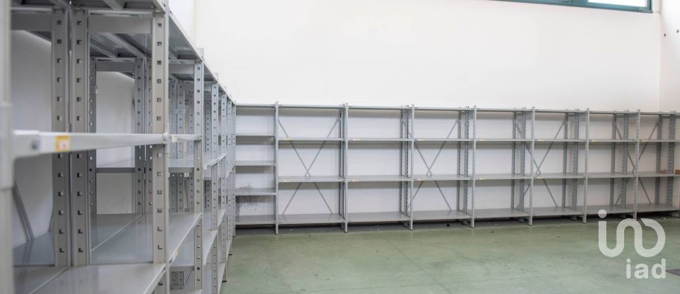 Capannone di 430 m² in Ancona (60131)