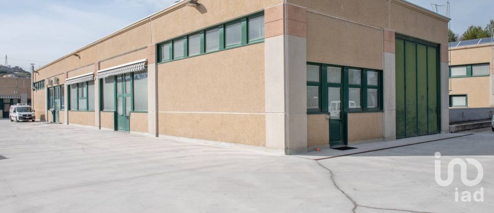 Capannone di 430 m² in Ancona (60131)