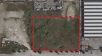 Terreno di 3.800 m² in Montemarciano (60018)