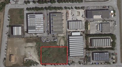 Terreno di 3.800 m² in Montemarciano (60018)