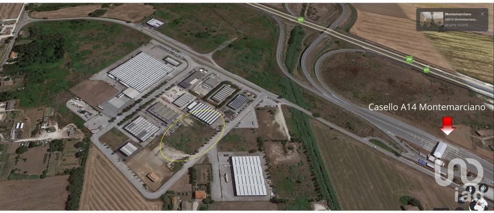 Land of 3,800 m² in Montemarciano (60018)