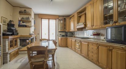 Appartamento 6 locali di 135 m² a Belvedere Ostrense (60030)