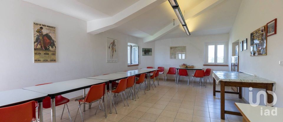Casa indipendente / Villa 10 locali di 572 m² in Polverigi (60020)