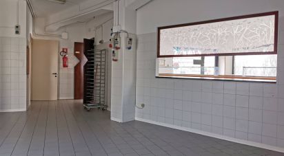 Shop / premises commercial of 269 m² in Castelfidardo (60022)