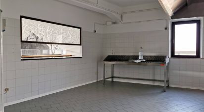 Negozio / locale commerciale di 269 m² in Castelfidardo (60022)