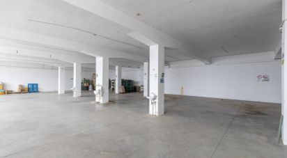 Warehouse of 650 m² in Montegranaro (63812)