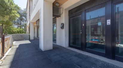 Shop / premises commercial of 300 sq m in Castelfidardo (60022)