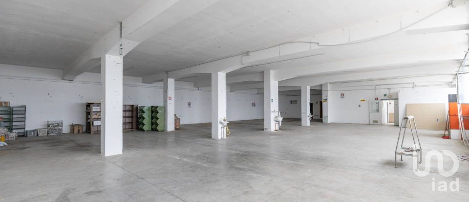 Warehouse of 650 m² in Montegranaro (63812)