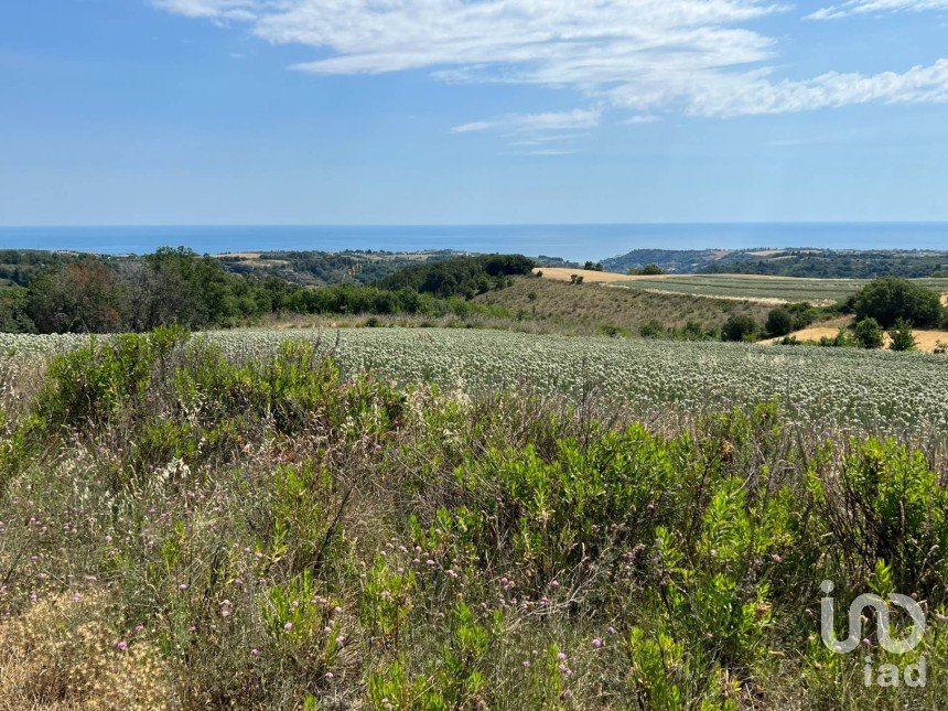 Terreno di 132.502 m² in Ripatransone (63065)