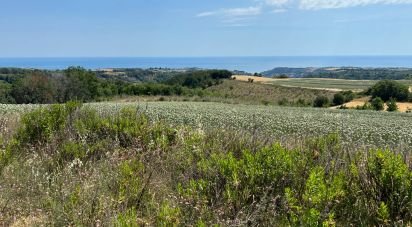 Terreno di 132.502 m² in Ripatransone (63065)