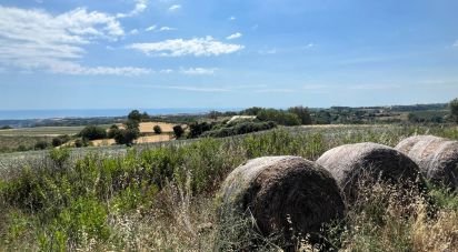 Terreno di 132.502 m² in Ripatransone (63065)