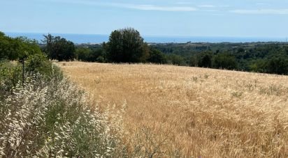 Terreno di 132.502 m² in Ripatransone (63065)