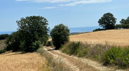 Terreno di 132.502 m² in Ripatransone (63065)