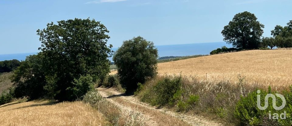 Terreno di 132.502 m² in Ripatransone (63065)