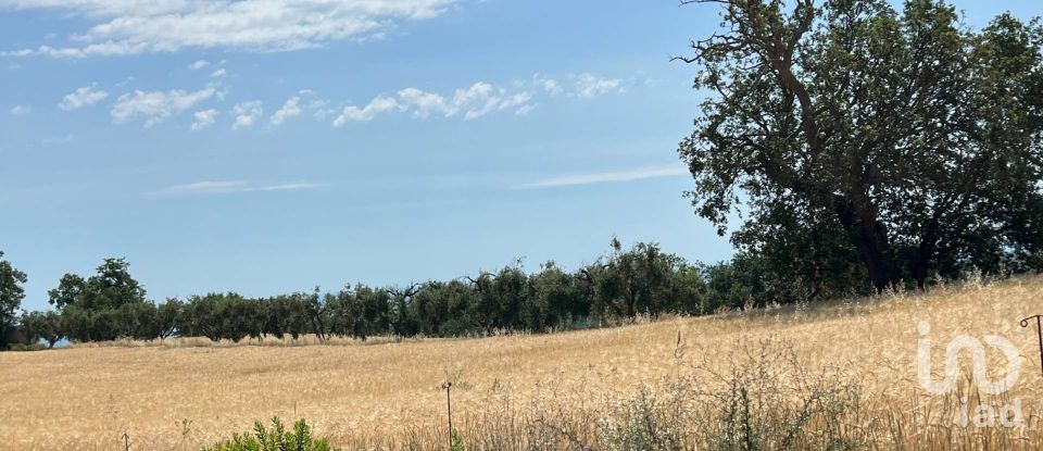 Terreno di 132.502 m² in Ripatransone (63065)