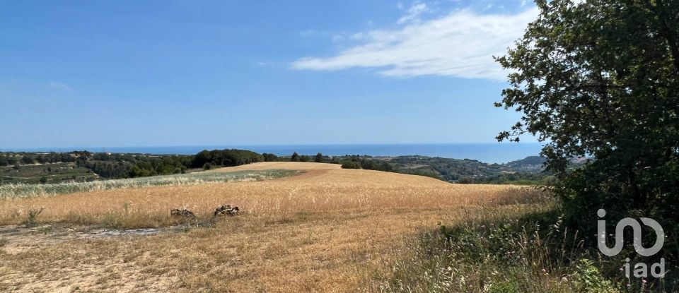 Terreno di 132.502 m² in Ripatransone (63065)