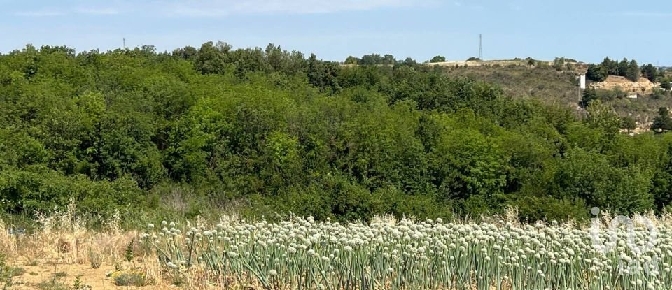 Terreno di 132.502 m² in Ripatransone (63065)